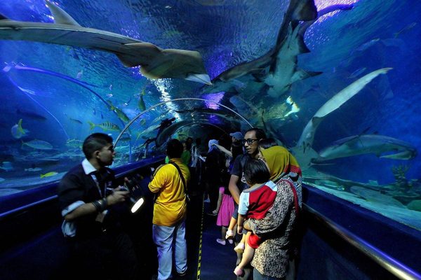 Visitors walking through the Aquaria KLCC tunnel, an attraction ticket covered by the Klook discount